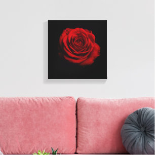 Em Tela Rosa vermelha Dramática - Impressão de Arte Floral