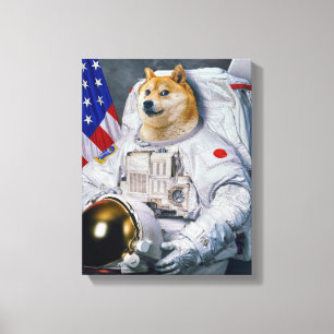 Em Tela Versão do impressão do Doge do espaço