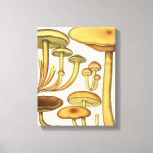 Em Tela Vintage Mushroom Brown Green Art Impressão