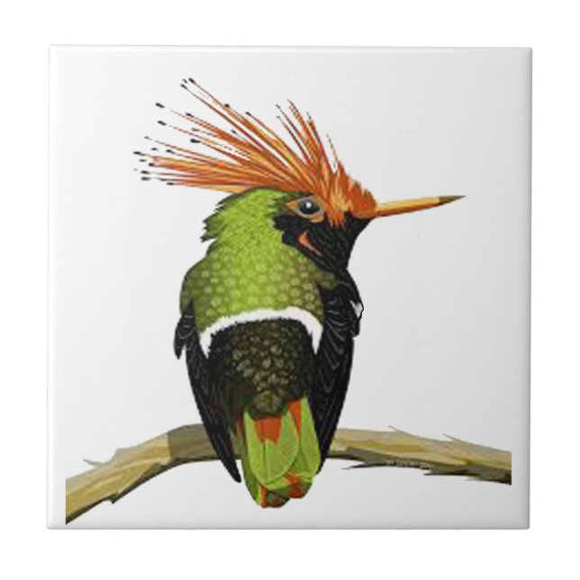 EM UM MEMBRO (Frente)