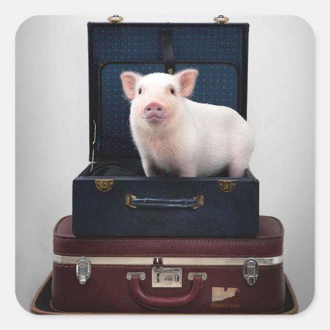 Embalagem com adesivos pretos (Frente)