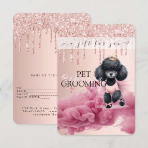 Embarque de Pet Vet de Proteção para Cachorros de