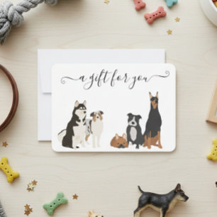 Embarque de Pet Vet de Proteção para Cachorros de 