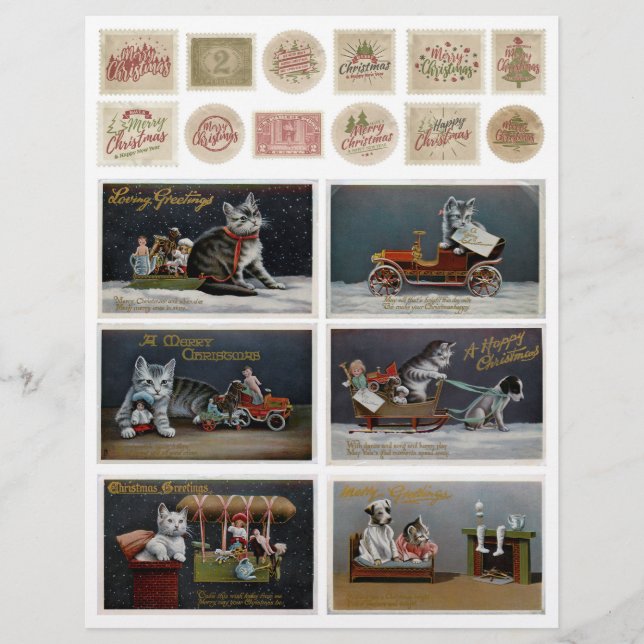 Embelagens de Gato Floral de Madeira em Descanso (Frente)