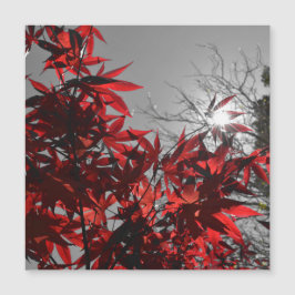 Embers of Autumn Magnetic Card
