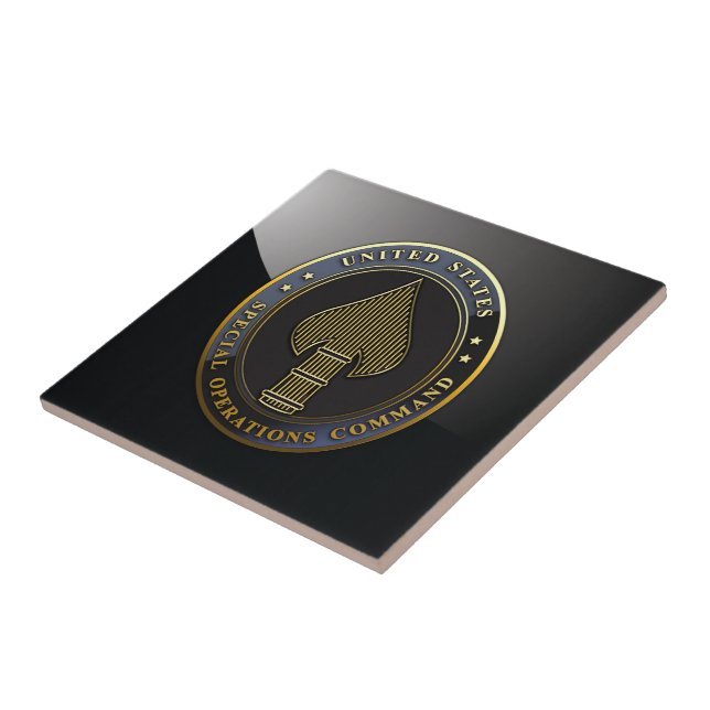 Emblema USSOCOM (Lateral)