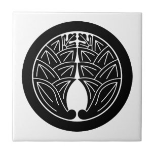 Embrulhando gingers japoneses em círculo