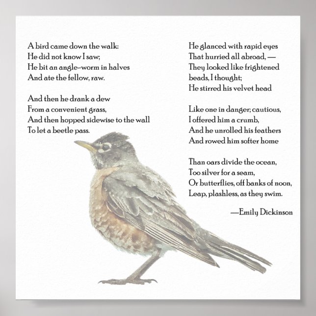 Emily Dickinson "In the Garden" Poem Poster (Frente)