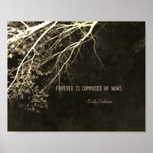 Emily Dickinson, inspiradora, cita a poster da nat