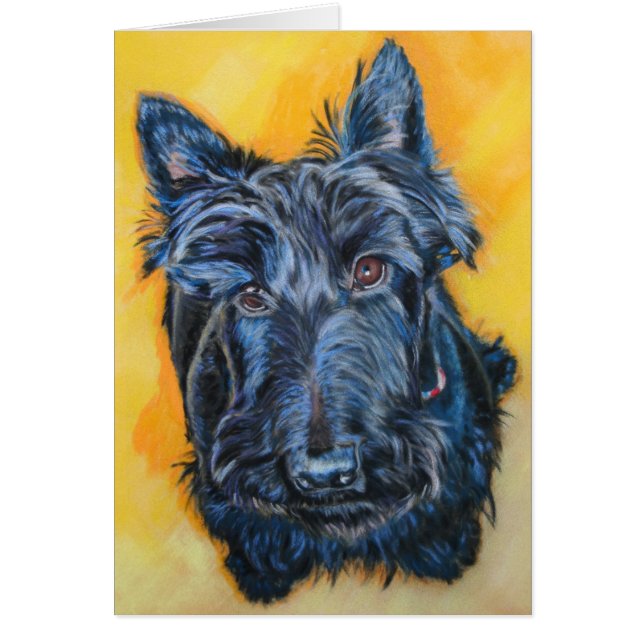 "Emily" no cartão azul do Scottie (Frente)