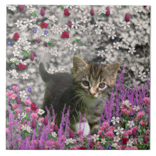 Emma nas flores mim - pouco gato cinzento do