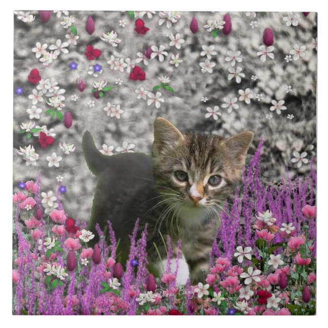 Emma nas flores mim - pouco gato cinzento do (Frente)