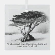 EMPREGO 14:7 Ornamento de Vidro