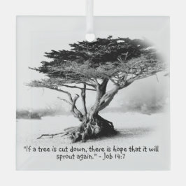 EMPREGO 14:7 Ornamento de Vidro