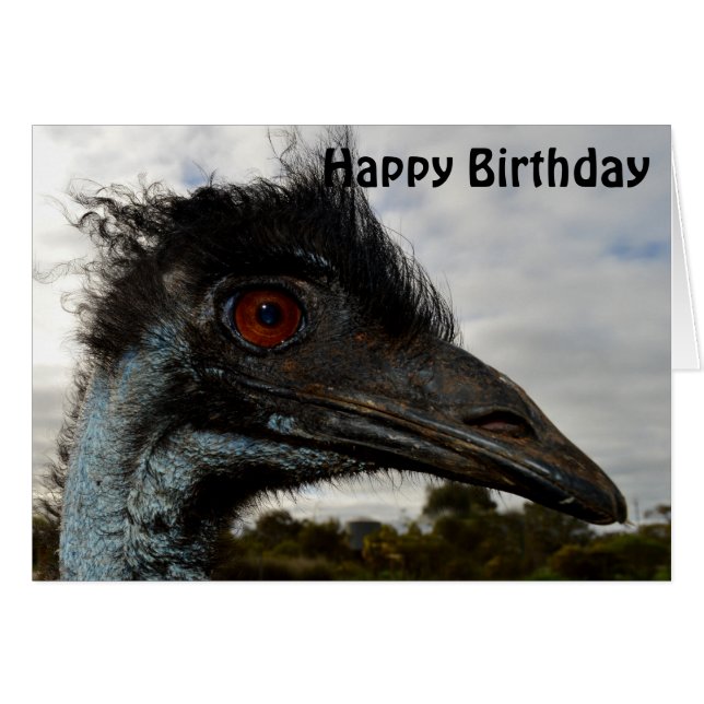 Emu Australiano Fechar, Cartão de Aniversário (Frente Horizontal)