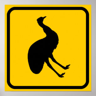Emu Xing - Sinal Poster