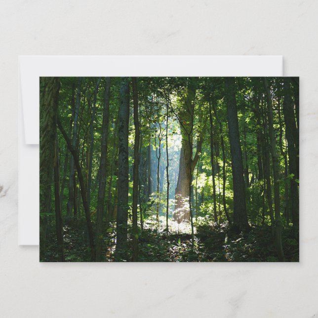 Encantado, Misterioso, Belo (Frente)