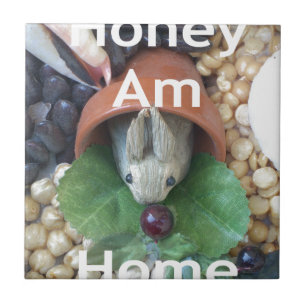 Encantamento de coelho bonito