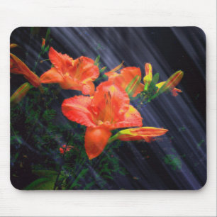 ENCANTAMENTO MOUSEPAD