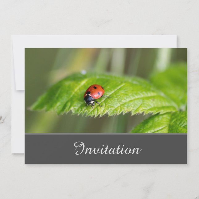 Encantando Cartão de Convite com Ladybug (Frente)