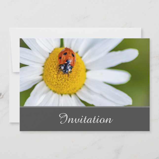 Encantando Cartão de Convite com sorte Ladybug (Frente)