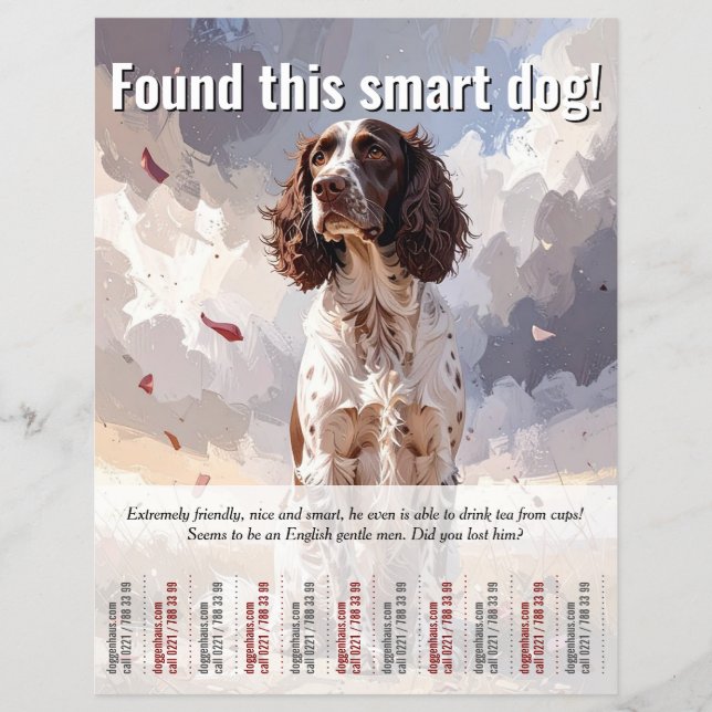 Encontrado um folheto destacável de Spaniel (Frente)