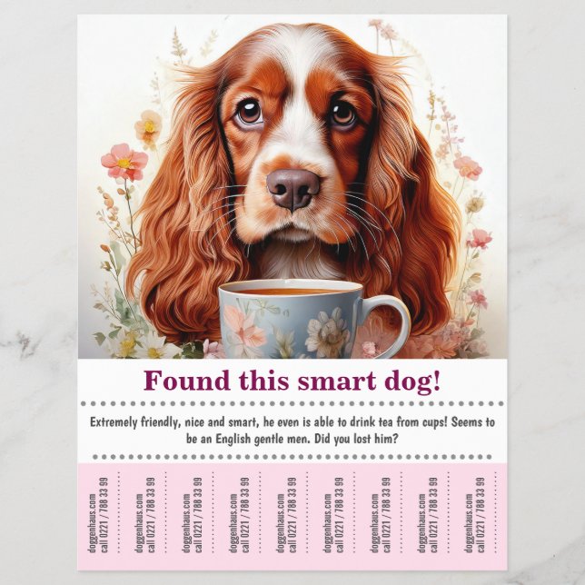 Encontrado um Panfleto Inglês para Cocker Spaniel (Frente)