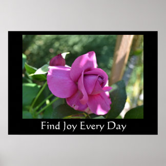 Encontre a alegria Rosa Inspirational Poster
