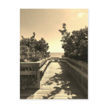 Encontre-me no cartão postal da praia