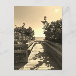 Encontre-me no cartão postal da praia