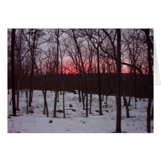 Encontre seu cartão claro