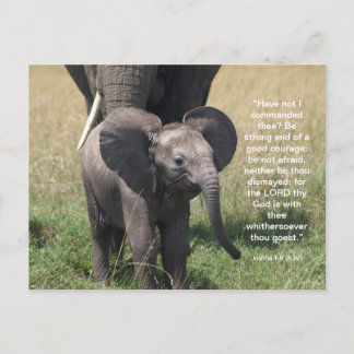 Encorajando o cartão postal Verso da Bíblia