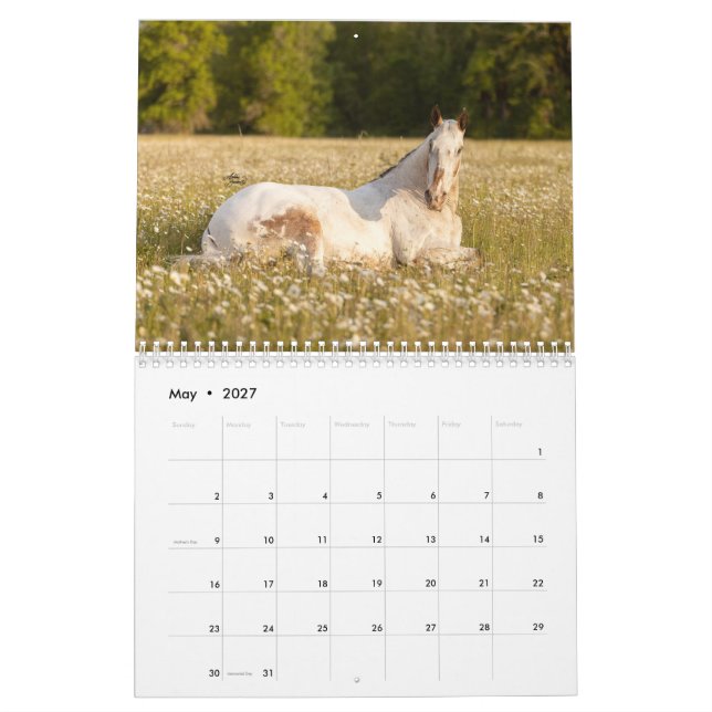 Endo O Calendário Cego 2023 (Maio 2027)