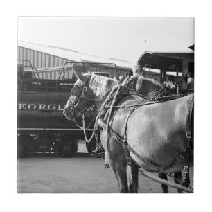 Energia de cavalos e energia a vapor