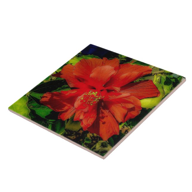 Energia do Flor Vermelho (Lateral)