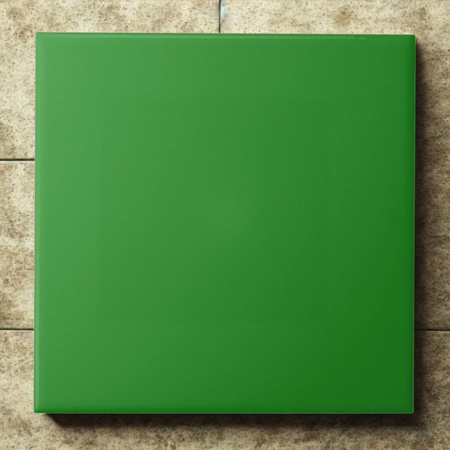Ênfase Moderna da Floresta Elegante (Criador carregado)