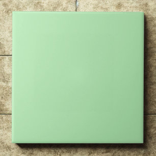 Ênfase Moderna Mint Verde Suave