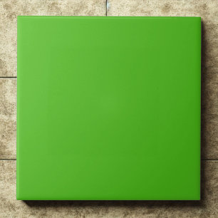 Ênfase Verde de Kelly Elegante