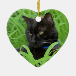 Enfeite de Aniversário Gato Preto de Bombaim