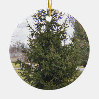 Enfeite de Árvore de Natal
