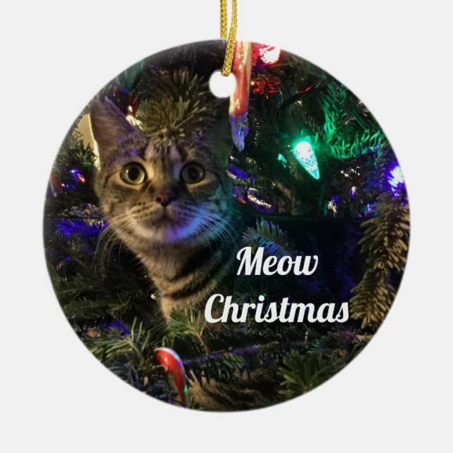 Enfeite de árvore de Natal de gato listrado (Frente)