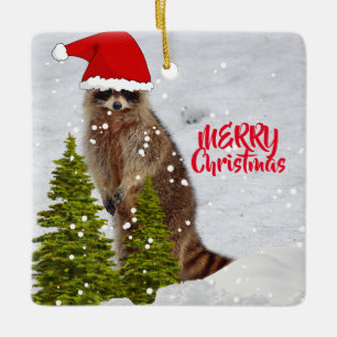 Enfeite de árvore de Natal de guaxinim fofo