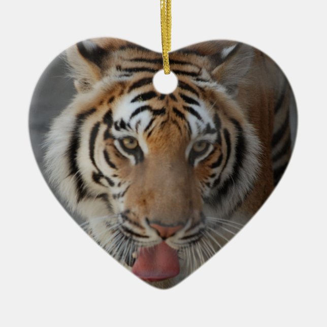Enfeite de Beijos de Tigre (Frente)