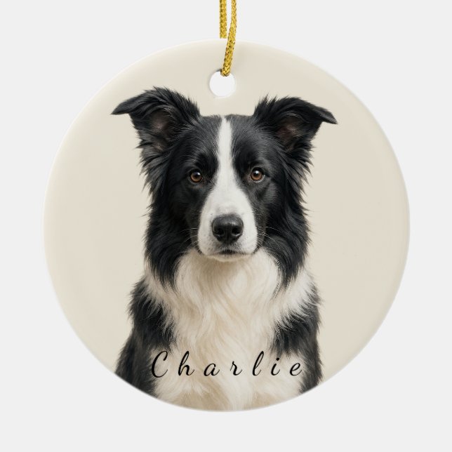 Enfeite de Cachorro Border Collie Personalizado (Frente)