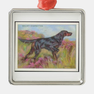 Enfeite de cartão de cigarro Setter Gordon Vintage