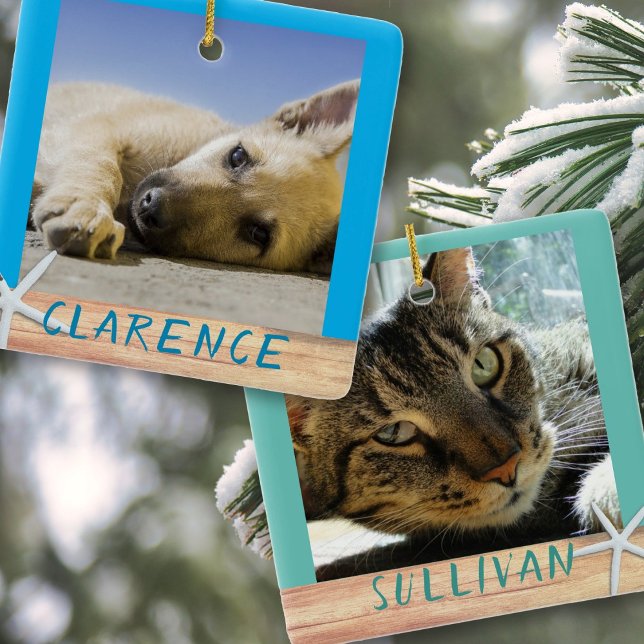 Enfeite de Cerâmica Estrela do Mar com Fotos de Es (Criador carregado)