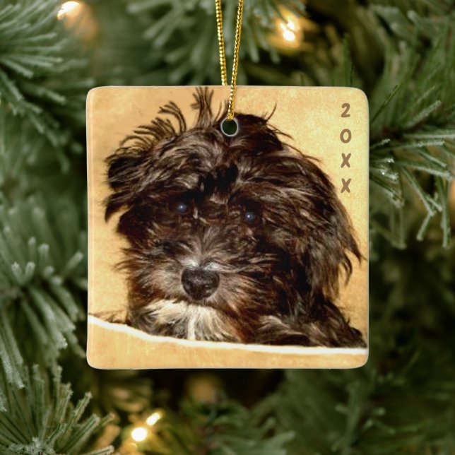 Enfeite de Cerâmica Schnoodle (Árvore)