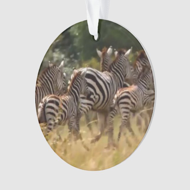 enfeite de círculo de acrílico zebra (Frente)