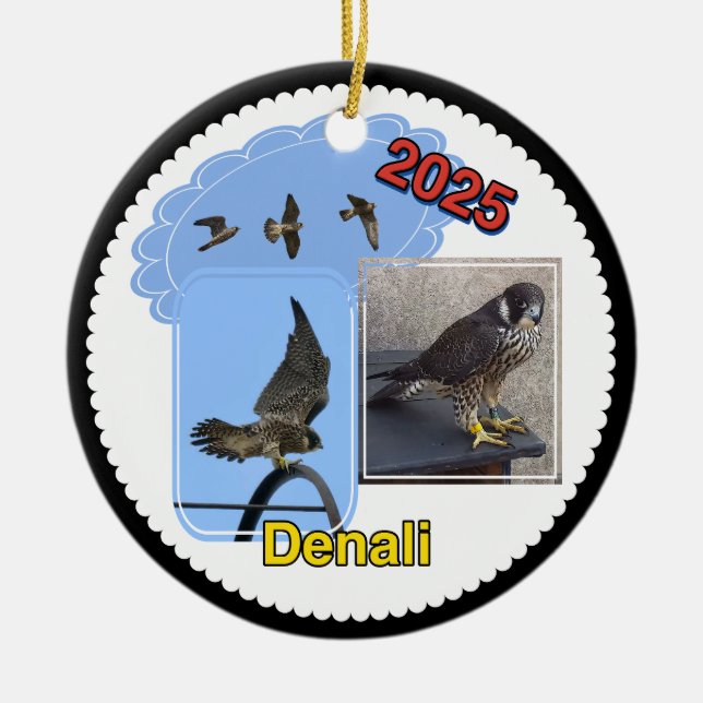Enfeite de Círculo de Cerâmica 2025 Denali (Frente)