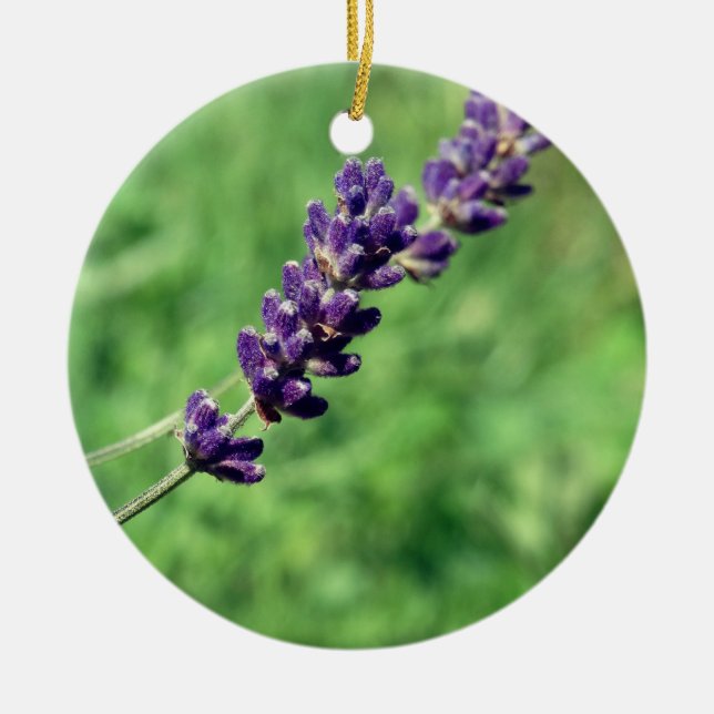 Enfeite de Círculo de Foto de Haste de Lavanda (Frente)